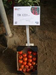 TR 1221 F1