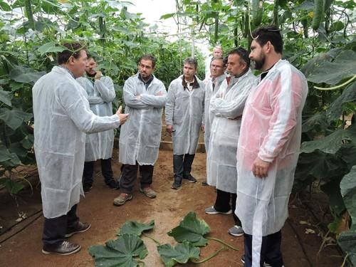 Comparando los tamaños de hoja entre variedades