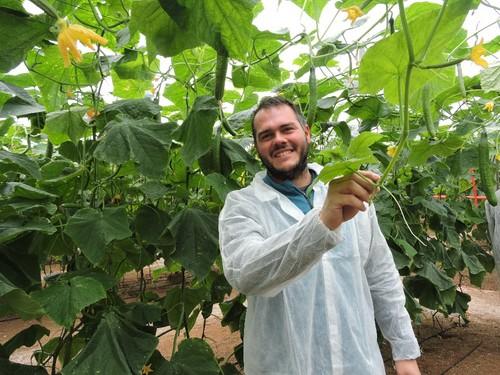 Este agricultor se muestra optimista con el 24-261 RZ tras ver los resultados en campo