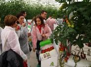 Visita de técnicos al CED de Rijk Zwaan