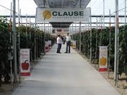 HM CLAUSE IBÉRICA reúne a agricultores para mostrarles su amplio catálogo de pimiento California