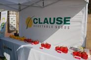 Jornadas de campo de pimiento California de HM Clause Ibérica