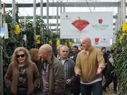 Zeraim presenta sus variedades de pimiento California a agricultores del Poniente almeriense