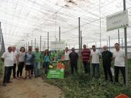 Intersemillas muestra su amplia variedad de sandías con unas jornadas de puertas abiertas