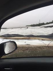 Lluvia torrencial en el término municipal de El Ejido