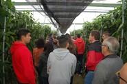 HM. Clause muestra sus California en las I Jornadas de Pimiento Temprano de Dalías