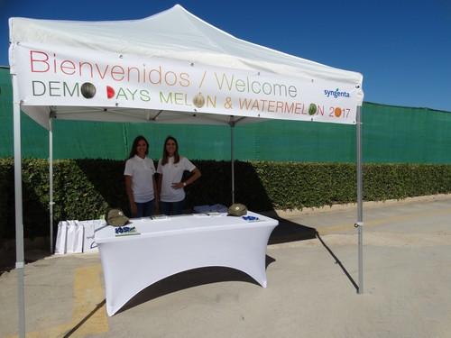 Demo Days Melon & Watermelon 2017 de Syngenta