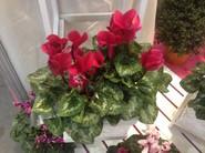 Iberflora 2013 y Vegetal World