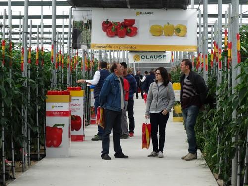 Jornadas de Puertas Abiertas de pimiento de HM Clause en El Ejido