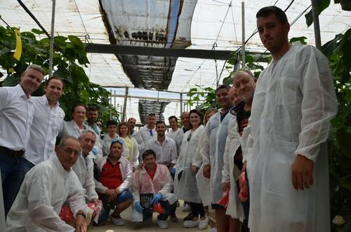 Invictus, el nuevo pepino de Seminis, insuperable para el calor