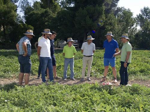 Syngenta presenta sus sandías para campo abierto en Lorca