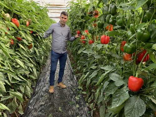 Ramiro Arnedo muestra la excelencia de sus pimientos California en unas jornadas en Balerma