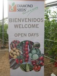 Jornadas de campo de Diamond Seeds