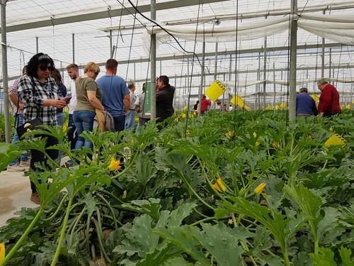 HM.CLAUSE lleva al campo a casi 250 agricultures para presentar su calabacín Mítica