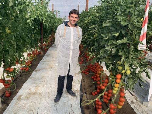 Ramiro Arnedo presenta su tridente en tomate con Macizo F1, Romancero F1 y Trabuco F1