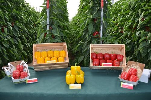 HM Clause muestra sus novedades en California en su finca vitrina de Las Norias