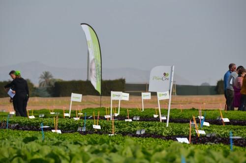 International Field Days 2020 de Rijk Zwaan