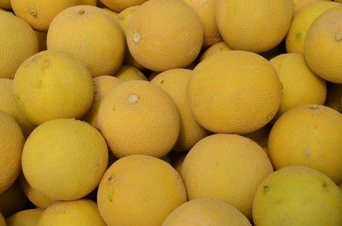 Calima llega al catálogo de galia de HM.CLAUSE sumando nuevas resistencias