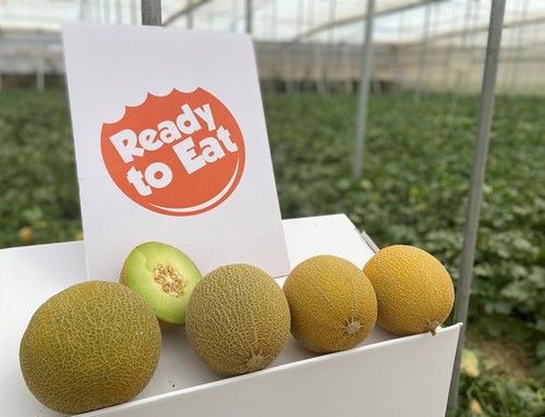 Rijk Zwaan presenta sus nuevos galia y amplía el concepto Ready to Eat a esta tipología