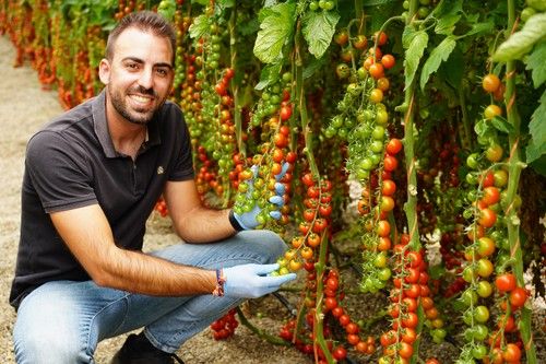 Jornadas del cherry rama Caprice de Top Seeds Ibérica en Castell de Ferro