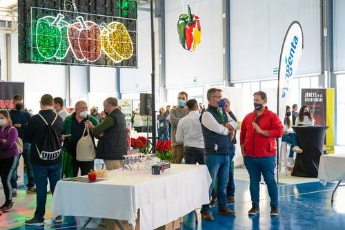 VI Jornadas de Pimiento Temprano de Berja. Día 2