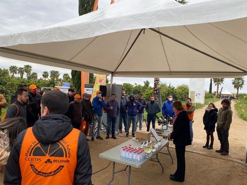 Certis y Belchim Crop Protection tratan en una jornada los temas de máxima actualidad en cítricos