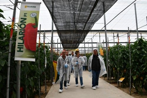 Gran éxito de las jornadas de puertas abiertas de pimiento de HM.CLAUSE en el Poniente