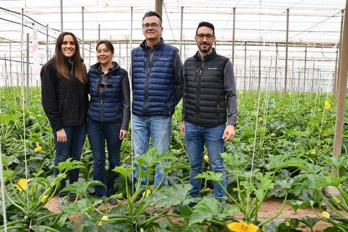 Jornada de campo para mostrar Pietra F1, el calabacín de HM.CLAUSE que es la maravilla del invierno