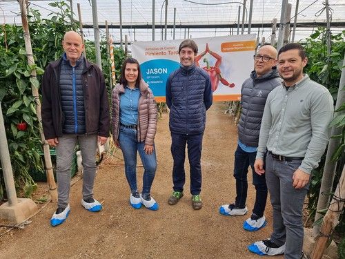 Syngenta celebra jornadas de campo con los Californias rojos Arconte y Jasón