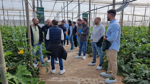 Los agricultores del Poniente conocen Arkana, el nuevo calabacín de HM.CLAUSE