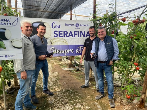 Serafina F1, la berenjena negra de Ramiro Arnedo ‘superproductiva’