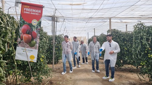 HM.CLAUSE presenta en el Poniente su tomate Freeman, resistencia para mercados lejanos