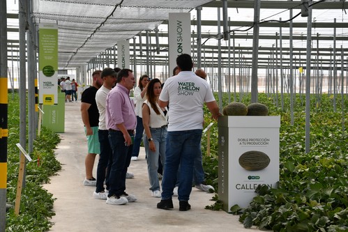 La segunda edición de Water&Melon Show de Semillas Fitó despierta la admiración del sector