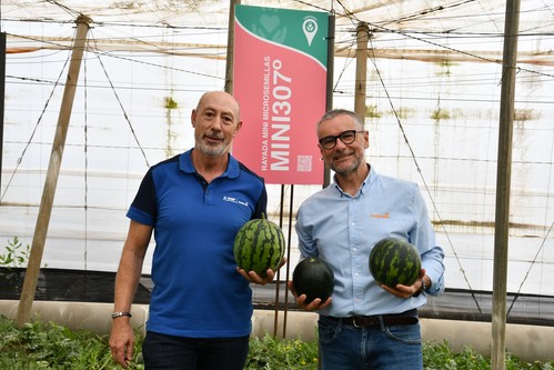 Lo 'Next' de BASF | Nunhems en melón y sandía se presenta en el Poniente almeriense