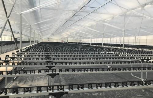 Cristalplant inaugura su sede de ecológico en San Agustín