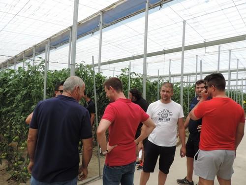 Hazera Spain muestra a los agricultores su variedad beef Corredor