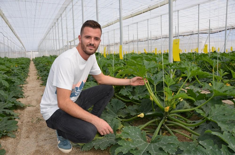 Rijk Zwaan muestra su nueva variedad de calabacín 23-177 RZ a agricultores del Poniente