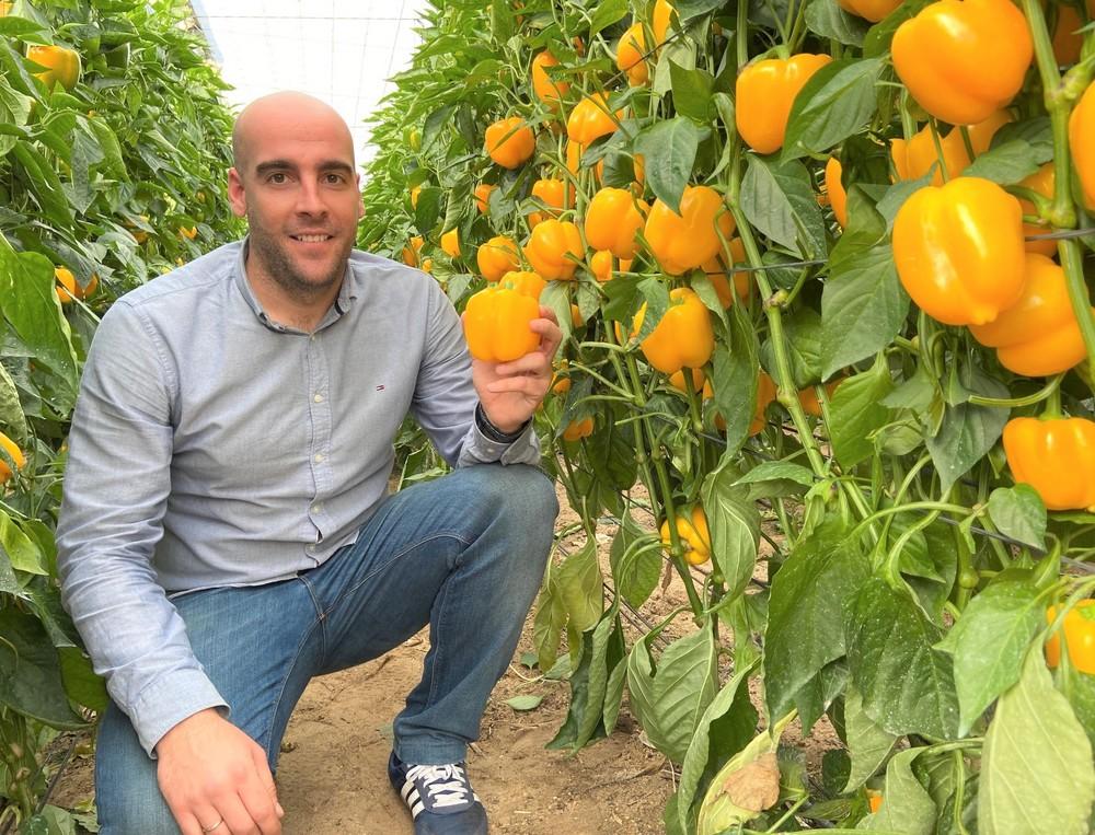 Fitó muestra en unas jornadas de campo sus variedades de California amarillo Mikonos y Madagascar