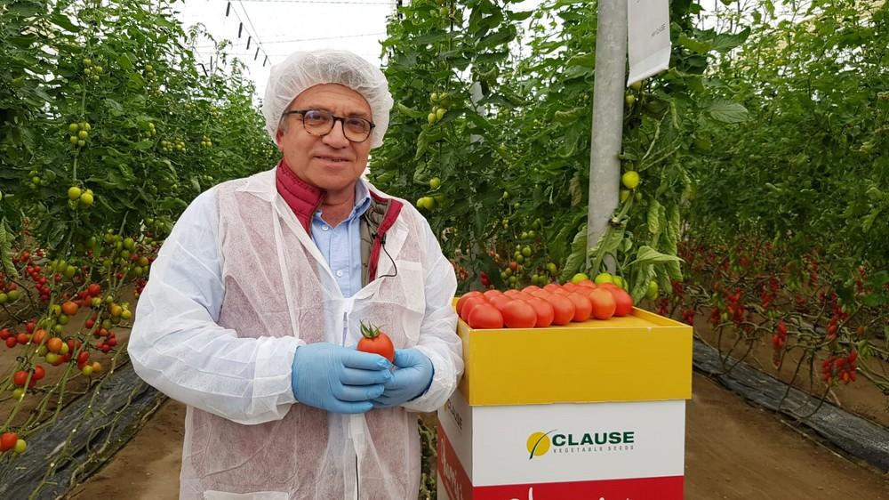Jornadas de puertas abiertas en la finca vitrina de tomate de HM.CLAUSE