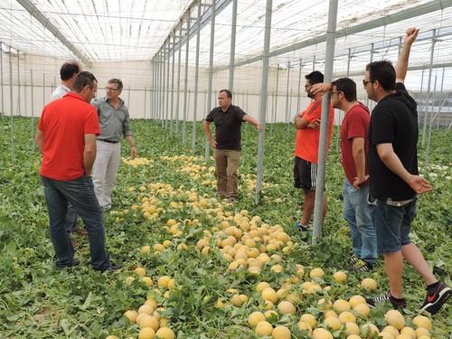 Jornadas de melón de Rijk Zwaan