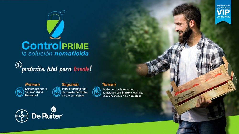 Bayer presenta Controlprime, la solución nematicida en tomate