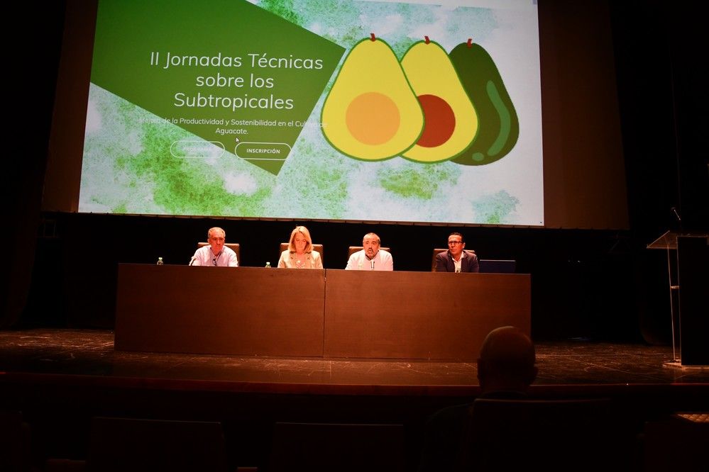 Así ha sido el inicio de las II Jornadas Técnicas sobre los Subtropicales