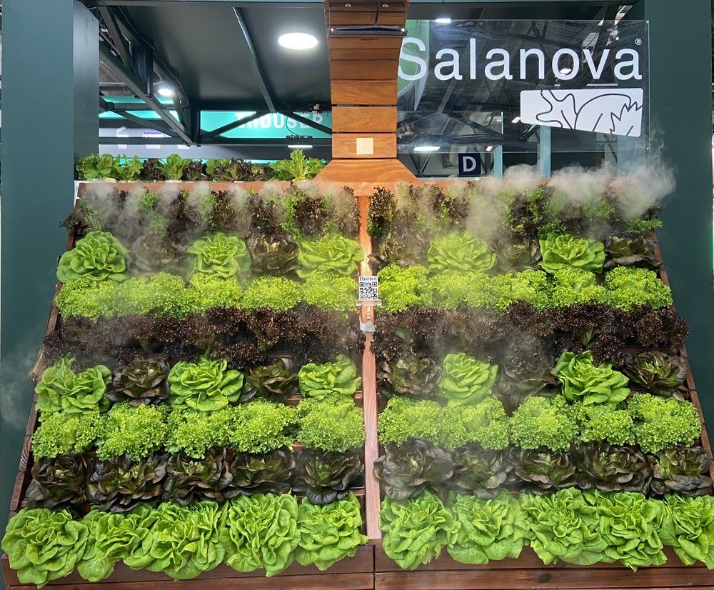 Rijk Zwaan muestra todo su potencial en Madrid con un stand muy conveniente