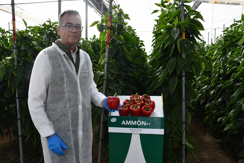 HM.CLAUSE abre las puertas de su finca vitrina para mostrar sus novedades en pimiento tardío
