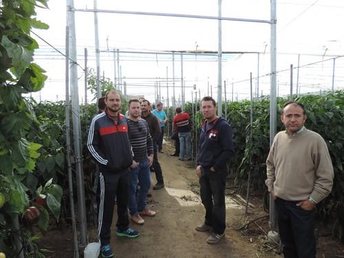 Rijk Zwaan organiza una visita en campo para ver las características de Idilio RZ