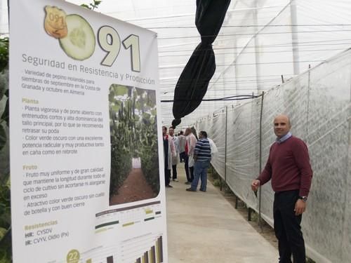 La Ruta 091 de Seminis vuelve a recorrer la provincia