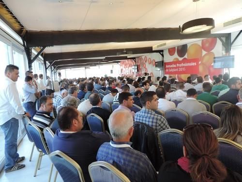Jornadas técnicas de tomate cherry de Saliplant