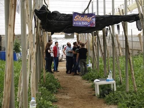 Nunhems Bayer CropScience celebra unas jornadas de su sandía Stellar F1