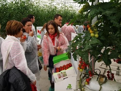 Visita de técnicos al CED de Rijk Zwaan