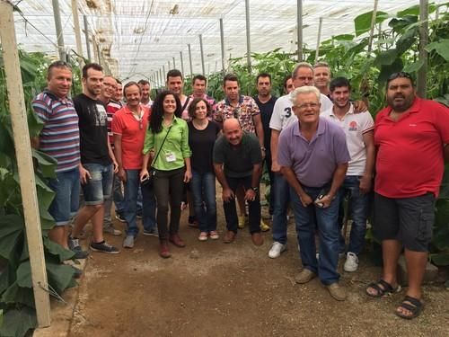 Seminis presenta su nuevo pepino holandés Hoplita